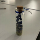 Botecitos de lavanda preservada